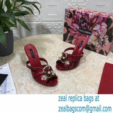 Dolce  &  Gabbana Crystal Heel 10.5cm Python Mules Red 2021
